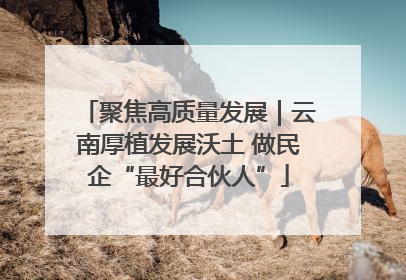聚焦高质量发展｜云南厚植发展沃土 做民企“最好合伙人”