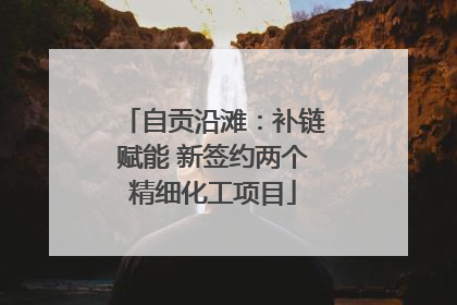 自贡沿滩：补链赋能 新签约两个精细化工项目