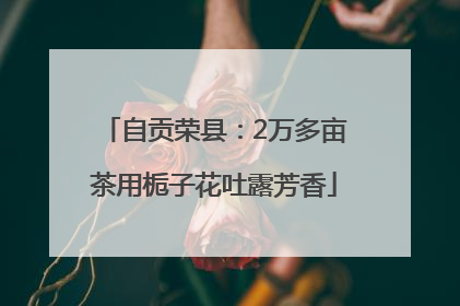 自贡荣县：2万多亩茶用栀子花吐露芳香