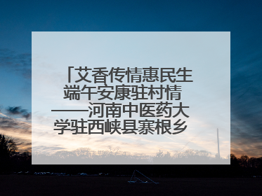 艾香传情惠民生 端午安康驻村情——河南中医药大学驻西峡县寨根乡桑树村工作队端午中医惠民记