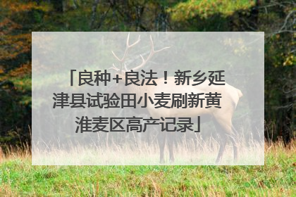 良种+良法！新乡延津县试验田小麦刷新黄淮麦区高产记录