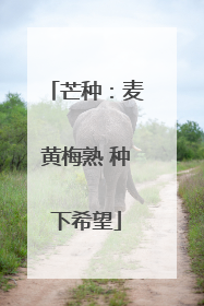 芒种：麦黄梅熟 种下希望