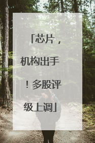 芯片，机构出手！多股评级上调