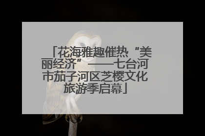 花海雅趣催热“美丽经济”——七台河市茄子河区芝樱文化旅游季启幕