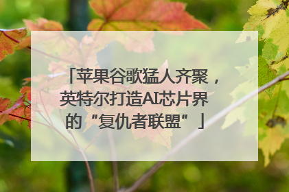 苹果谷歌猛人齐聚，英特尔打造AI芯片界的“复仇者联盟”