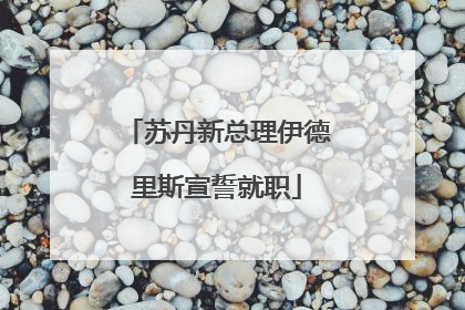 苏丹新总理伊德里斯宣誓就职