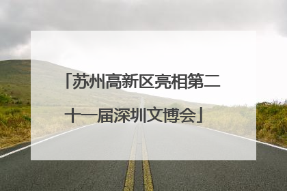 苏州高新区亮相第二十一届深圳文博会