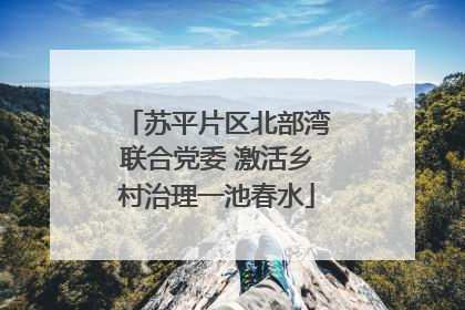 苏平片区北部湾联合党委 激活乡村治理一池春水