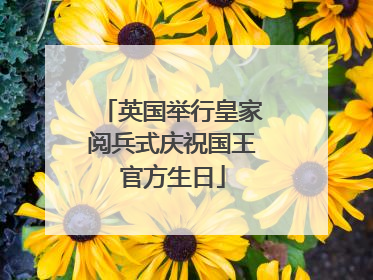 英国举行皇家阅兵式庆祝国王官方生日