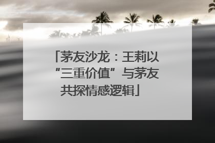 茅友沙龙：王莉以“三重价值”与茅友共探情感逻辑