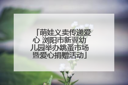 萌娃义卖传递爱心 浏阳市新翼幼儿园举办跳蚤市场暨爱心捐赠活动