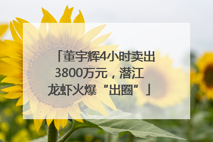 董宇辉4小时卖出3800万元，潜江龙虾火爆“出圈”