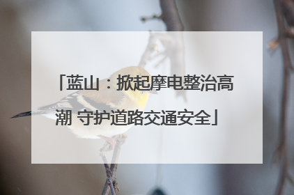 蓝山：掀起摩电整治高潮 守护道路交通安全