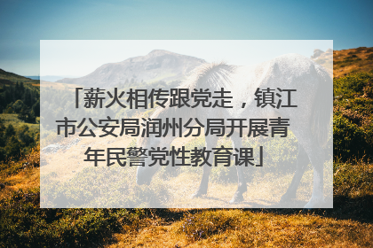 薪火相传跟党走，镇江市公安局润州分局开展青年民警党性教育课