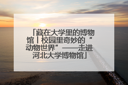 藏在大学里的博物馆丨校园里奇妙的“动物世界”——走进河北大学博物馆