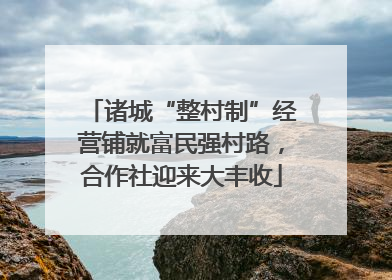 诸城“整村制”经营铺就富民强村路，合作社迎来大丰收