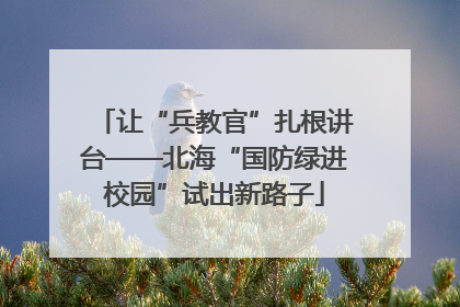让“兵教官”扎根讲台——北海“国防绿进校园”试出新路子