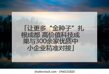 让更多“金种子”扎根成都 高价值科技成果与300余家优质中小企业精准对接