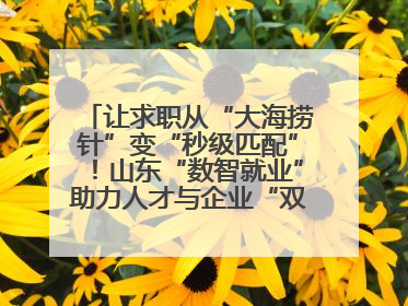 让求职从“大海捞针”变“秒级匹配”！山东“数智就业”助力人才与企业“双向奔赴”