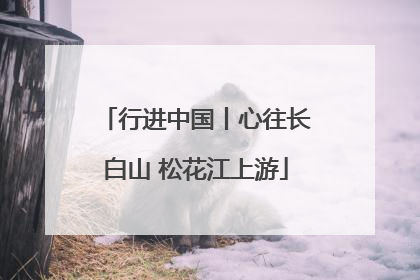 行进中国丨心往长白山 松花江上游