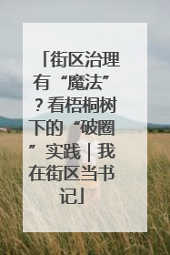 街区治理有“魔法”？看梧桐树下的“破圈”实践｜我在街区当书记