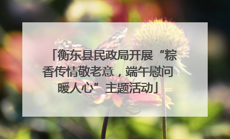 衡东县民政局开展“粽香传情敬老意，端午慰问暖人心”主题活动