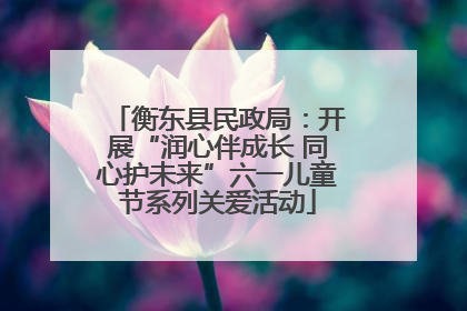 衡东县民政局：开展“润心伴成长 同心护未来”六一儿童节系列关爱活动