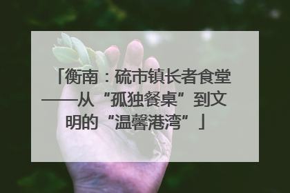 衡南：硫市镇长者食堂——从“孤独餐桌”到文明的“温馨港湾”