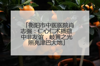 衡阳市中医医院肖志强：仁心仁术播撒中非友谊，岐黄之光照亮津巴大地