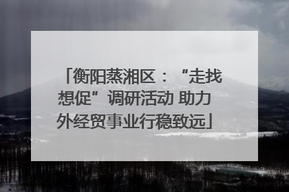 衡阳蒸湘区：“走找想促”调研活动 助力外经贸事业行稳致远
