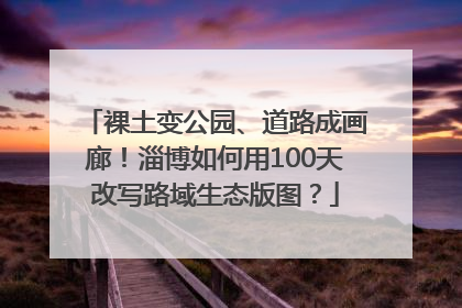 裸土变公园、道路成画廊！淄博如何用100天改写路域生态版图？