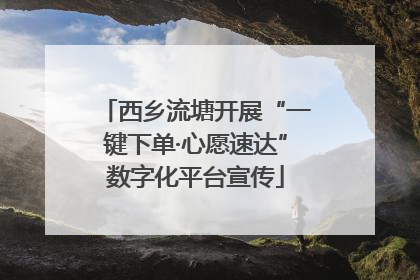 西乡流塘开展“一键下单·心愿速达”数字化平台宣传