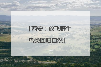 西安：放飞野生鸟类回归自然