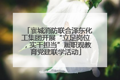 襄城消防联合泽东化工集团开展“立足岗位，实干担当”履职观教育党建联学活动
