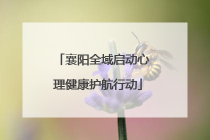 襄阳全域启动心理健康护航行动