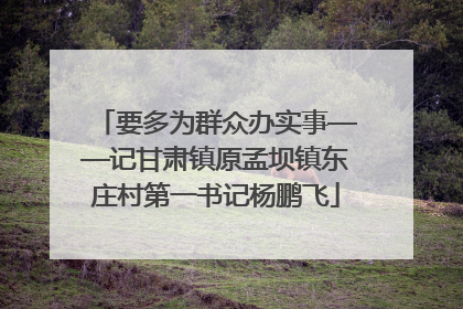 要多为群众办实事——记甘肃镇原孟坝镇东庄村第一书记杨鹏飞