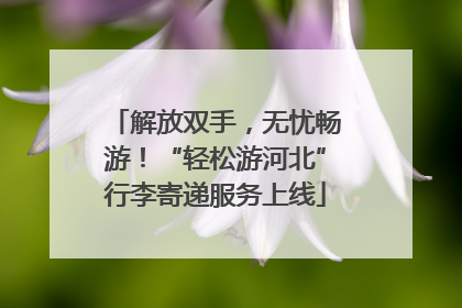 解放双手，无忧畅游！“轻松游河北”行李寄递服务上线