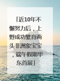 近10年不懈努力后，上野成功繁育两头非洲象宝宝，端午假期华东首展
