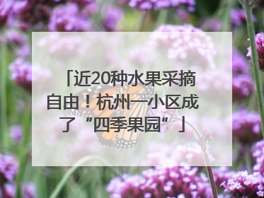 近20种水果采摘自由！杭州一小区成了“四季果园”