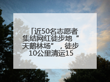 近50名志愿者集结网红徒步地“天鹅林场”，徒步10公里清运150余斤山野垃圾
