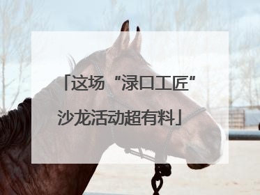 这场“渌口工匠”沙龙活动超有料