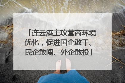 连云港主攻营商环境优化，促进国企敢干、民企敢闯、外企敢投