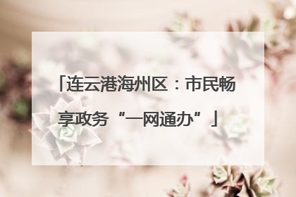 连云港海州区：市民畅享政务“一网通办”