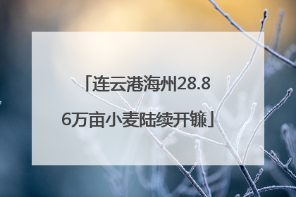 连云港海州28.86万亩小麦陆续开镰