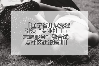 辽宁省开展党建引领“专业社工+志愿服务”融合试点社区建设培训