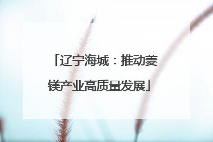 辽宁海城：推动菱镁产业高质量发展