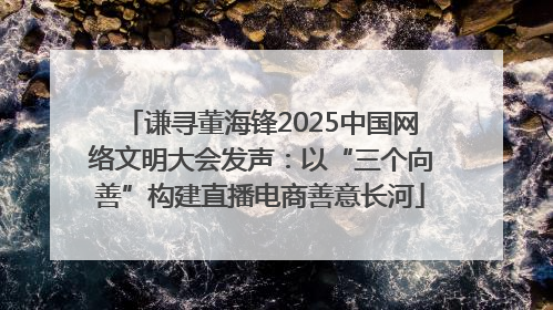 谦寻董海锋2025中国网络文明大会发声：以“三个向善”构建直播电商善意长河