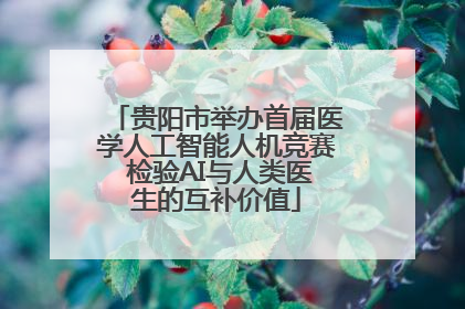 贵阳市举办首届医学人工智能人机竞赛 检验AI与人类医生的互补价值
