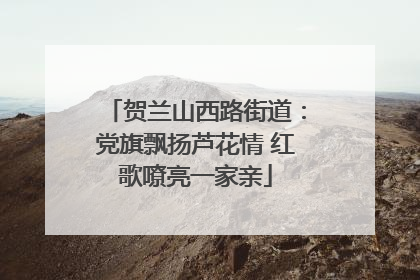 贺兰山西路街道：党旗飘扬芦花情 红歌嘹亮一家亲