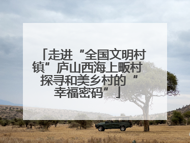 走进“全国文明村镇”庐山西海上畈村 探寻和美乡村的“幸福密码”